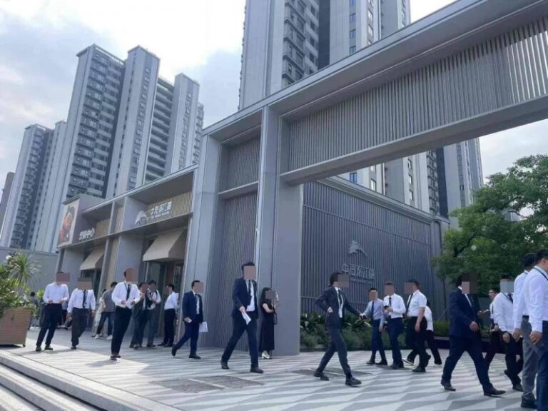 掌握股票交易根本知识，2025年你准备好迎接市场波动了吗？