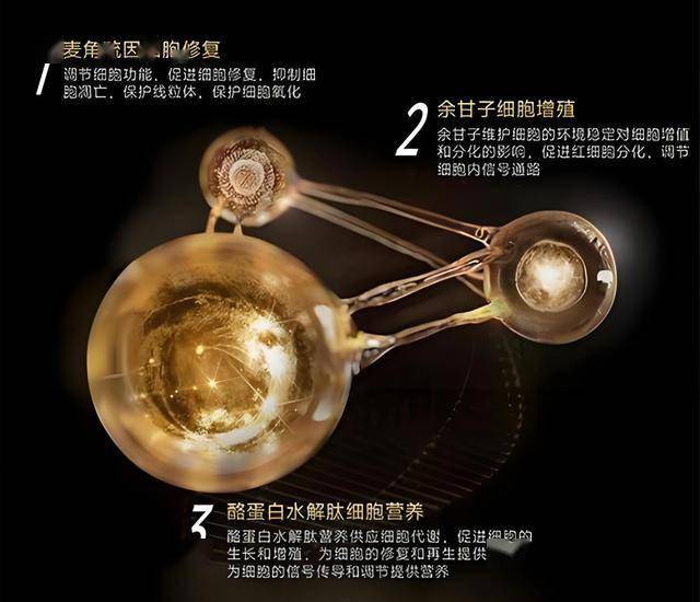 《2025年数字乡村推动工作要点》印发——数字红利将惠及更多乡村